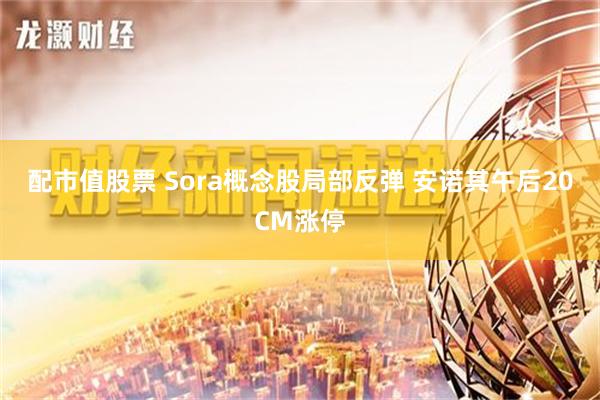 配市值股票 Sora概念股局部反弹 安诺其午后20CM涨停