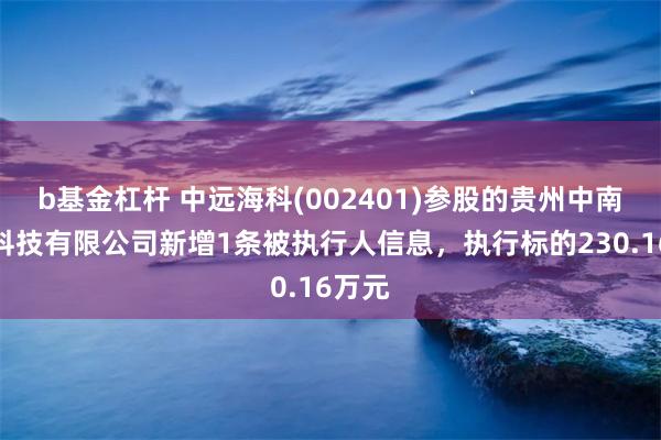 b基金杠杆 中远海科(002401)参股的贵州中南交通科技有限公司新增1条被执行人信息，执行标的230.16万元