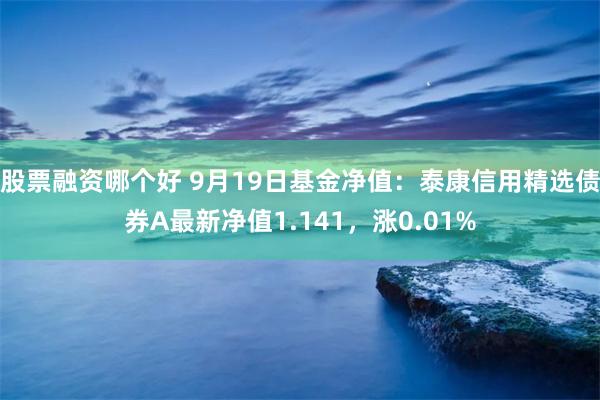 股票融资哪个好 9月19日基金净值：泰康信用精选债券A最新净值1.141，涨0.01%