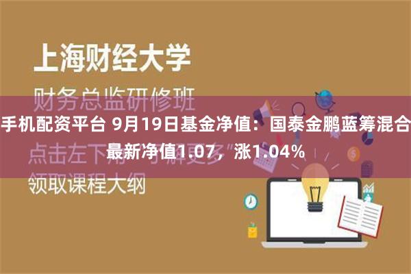 手机配资平台 9月19日基金净值：国泰金鹏蓝筹混合最新净值1.07，涨1.04%