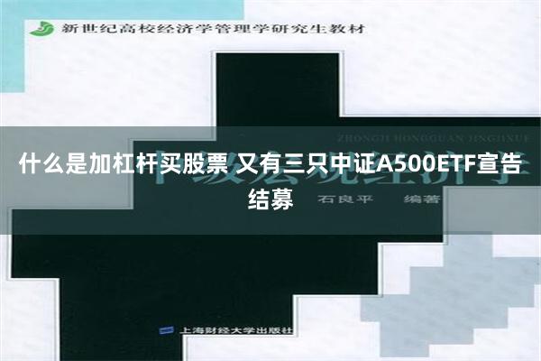 什么是加杠杆买股票 又有三只中证A500ETF宣告结募