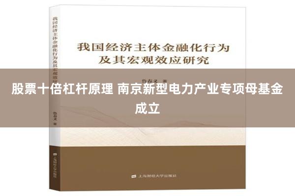 股票十倍杠杆原理 南京新型电力产业专项母基金成立