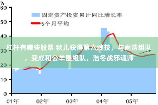 杠杆有哪些股票 秋儿获得第六魂技，与雨浩组队，变成和公羊墨组队，浩冬战邪魂师