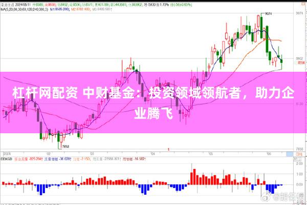 杠杆网配资 中财基金：投资领域领航者，助力企业腾飞